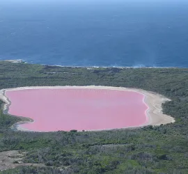 Lake Hillier, Australia: Ecco perché il lago è rosa