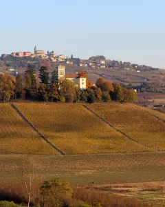 Langhe, Roero e Monferrato