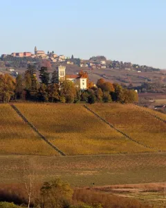 Langhe, Roero e Monferrato