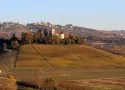 Barolo