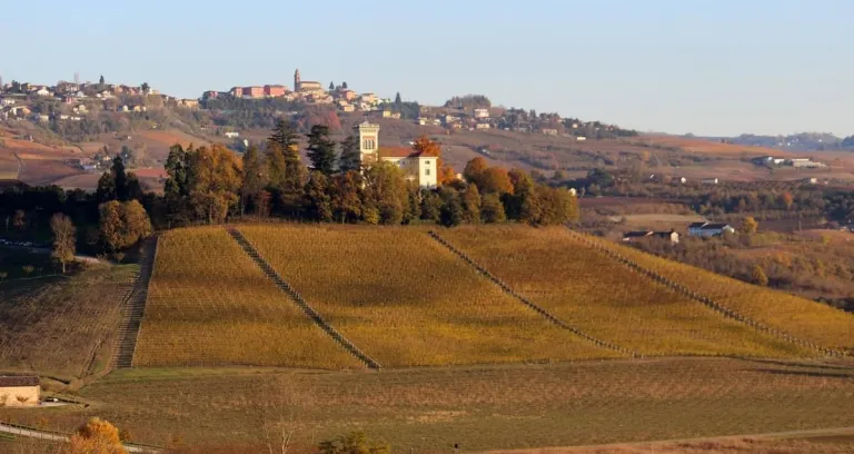 Langhe Unesco Barolo Piemonte Vino