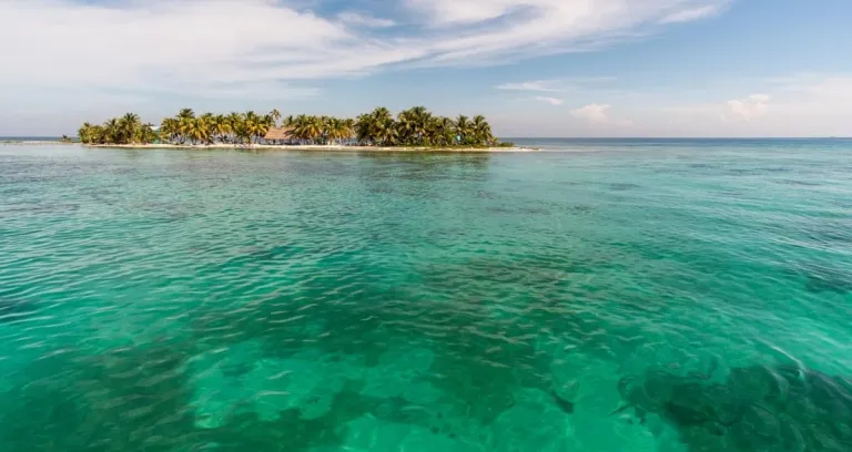 Laughing Bird Caye Coral