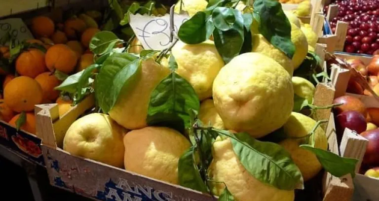 Limone Di Sorrento