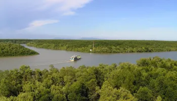 Mangrovie di Can Gio e Isola delle Scimmie