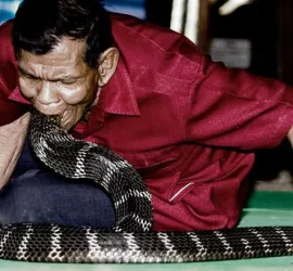 Ban Khok Sa-nga il villaggio dei cobra in Thailandia