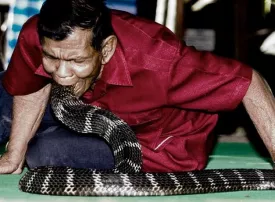 Ban Khok Sa-nga il villaggio dei cobra in Thailandia