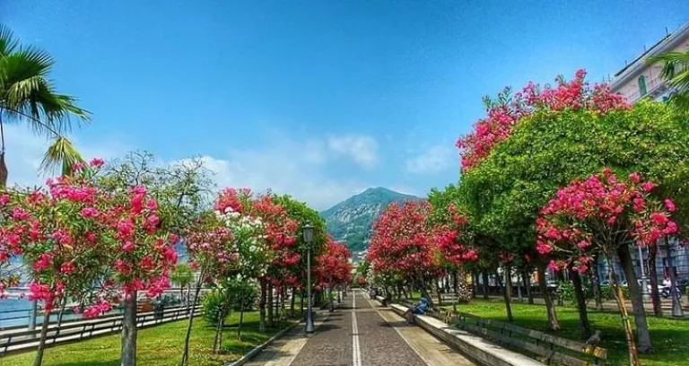 lungomare salerno