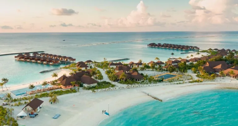 Aerial Shot Of Beach