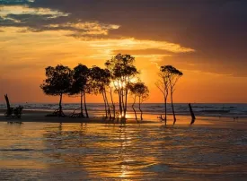 Isole Tiwi, Australia: dove si trovano, quando andare e cosa vedere