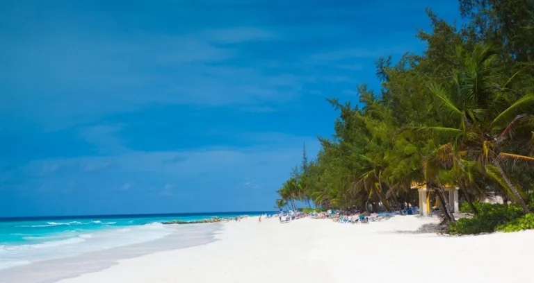 Barbados Beach Caraibi Costa 1