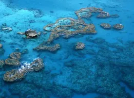 MAR DEI SARGASSI: Cos'è e dove si trova