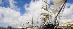 Itinerario di San Diego in 7 giorni