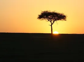 Parco Nazionale del Masai Mara, Kenya: dove si trova, quando andare e cosa vedere