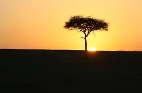 Parco Nazionale del Masai Mara, Kenya: dove si trova, quando andare e cosa vedere