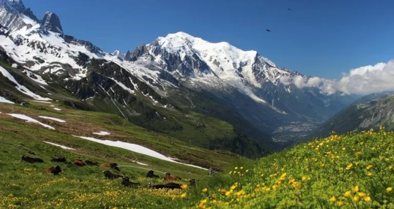 monte bianco tour