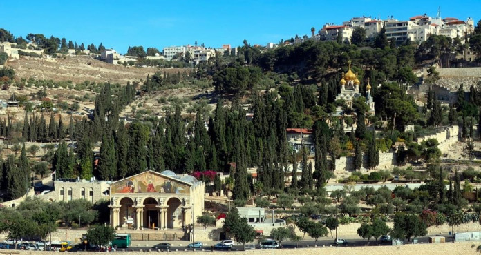 Monte Degli Ulivi Jerusalem Israele 1