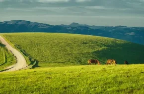 Città e paesi poco conosciuti da visitare in Italia