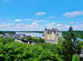 Cosa vedere nella Loira: città, attrazioni e itinerari