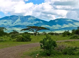 Cosa vedere in Tanzania: itinerari e safari più belli
