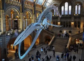 I parchi e musei di dinosauri da visitare d'Europa