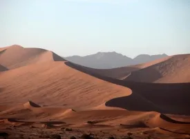 Safari in Namibia: prezzi, quando andare e dove