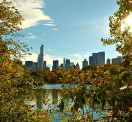 Cosa vedere alla Frick Collection di New York: orari, prezzi e consigli