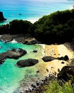 Arcipelago Fernando de Noronha