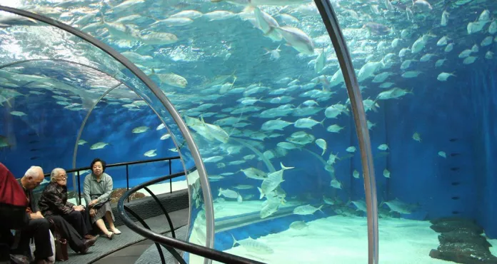 In The Shanghai Ocean Aquarium