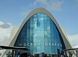 Visita all'Oceanogràfic di Valencia: orari, prezzi e consigli