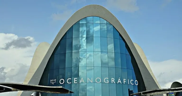 L Oceanografic Valencia 2009