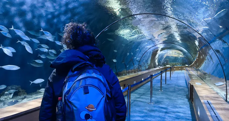 Oceanographic Orizz Risultato