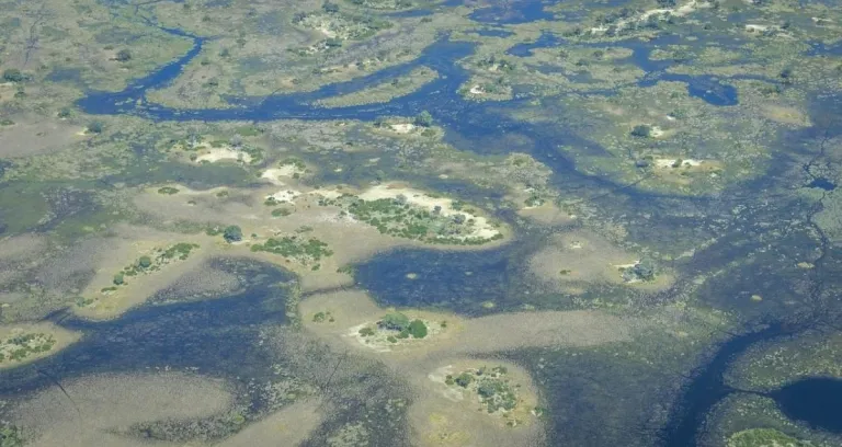 Okavango Delta Africa Botswana