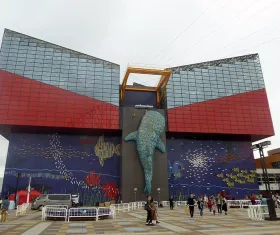 Acquario (Kaiyukan)