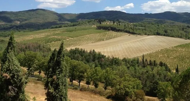 paesaggio in toscana