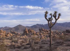 Cosa vedere in California: città, attrazioni e itinerari