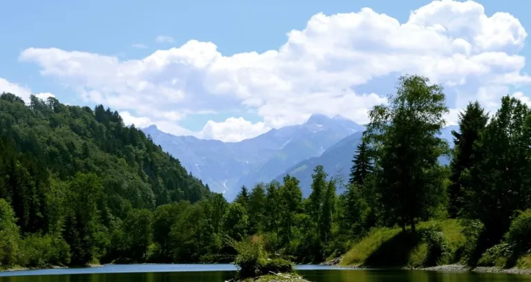 Auwaldsee Forest Lago Stagno