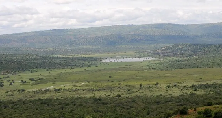 Parc National D 27akagera