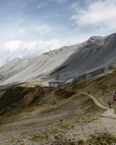 Valcamonica e Parco dello Stelvio