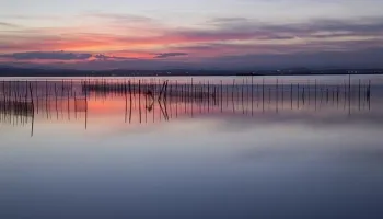 Parco Nazionale dell'Albufera