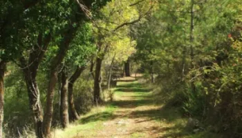 Parco naturale Sierra de Baza