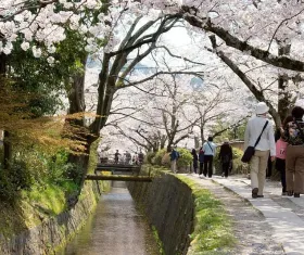 Il Sentiero del Filosofo (Tetsugaku no michi)