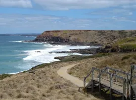 Escursioni da Melbourne: le migliori gite di un giorno nei dintorni di Melbourne