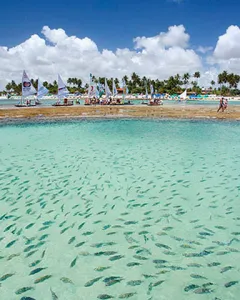 Porto de Galinhas