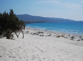 Porto Pino, Sardegna: come arrivare, cosa vedere e spiagge più belle