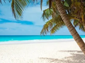Porto Rico, Caraibi: dove si trova, quando andare e cosa vedere