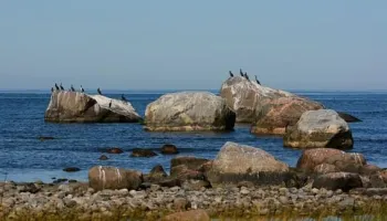 Isola di Prangli