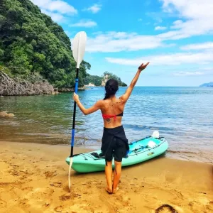 Alis in Traveland