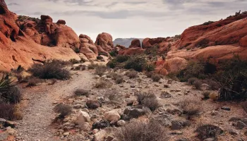 Red Rock Canyon