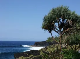 Isola Reunion: dove si trova, quando andare e cosa vedere