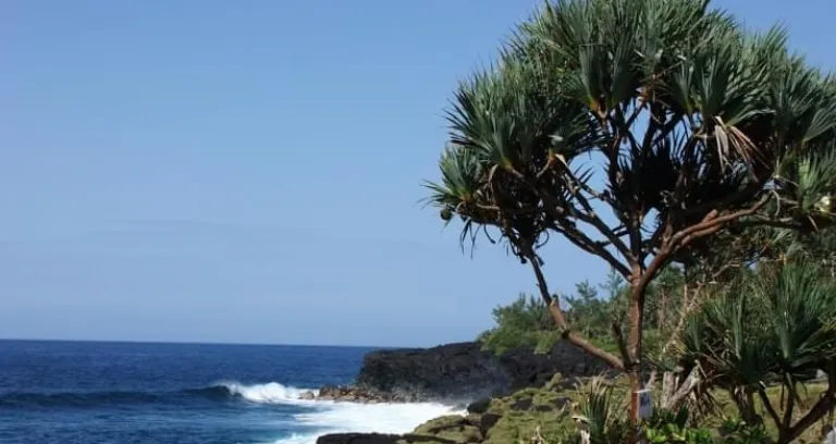 panorama della costa dell'isola reunion